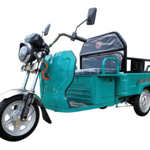 electric tricycle