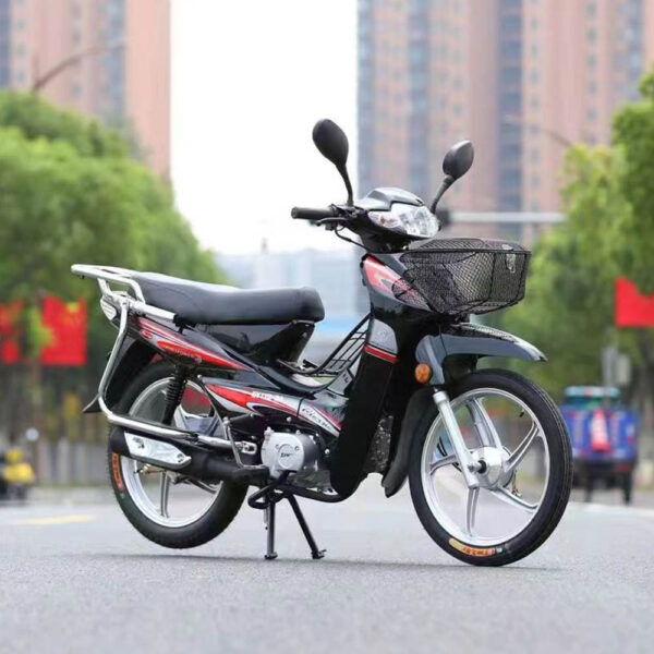 motorcycle,gasoline motorcycle