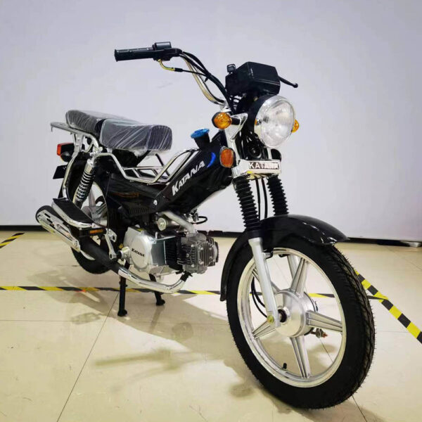motorcycle,gasoline motorcycle