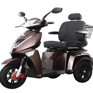 Electric Tricycle VISTA-3 (T408-3)(EEC Certified)