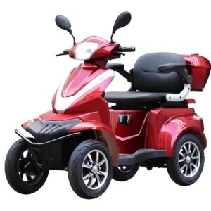 electric vehicle