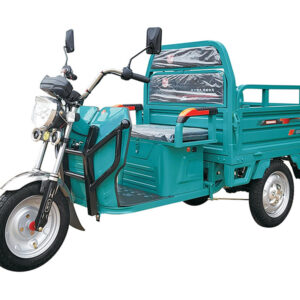 electric tricycle