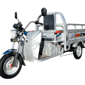 electric tricycle