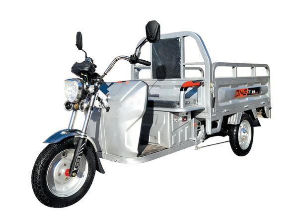 electric tricycle