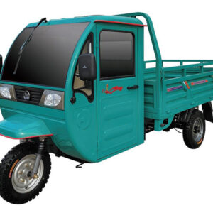 electric tricycle