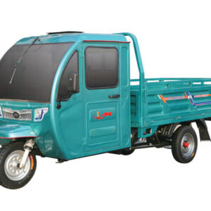 electric tricycle