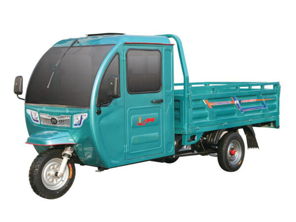 electric tricycle