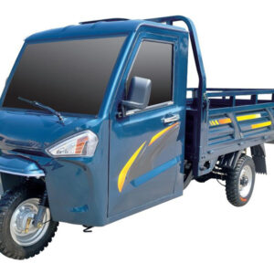 electric tricycle