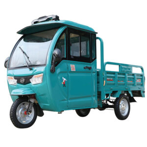 electric tricycle