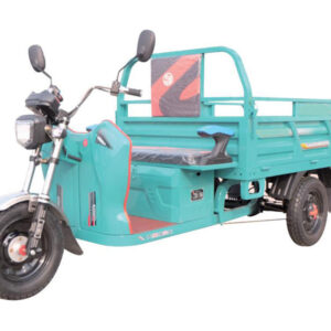 electric tricycle