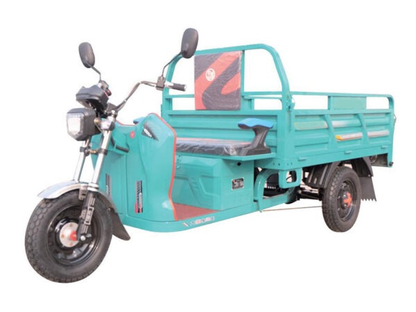 electric tricycle