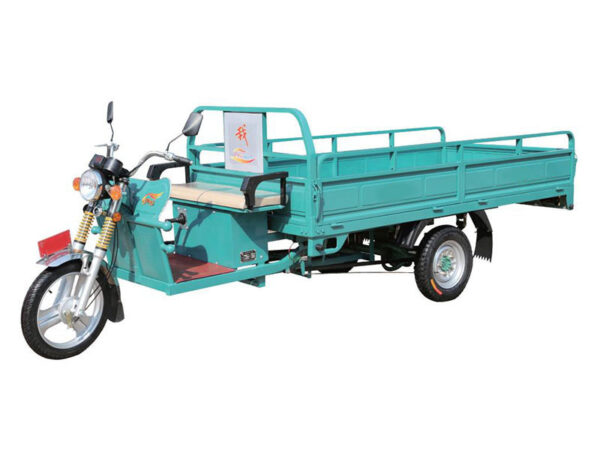 electric tricycle