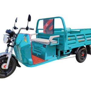 electric tricycle