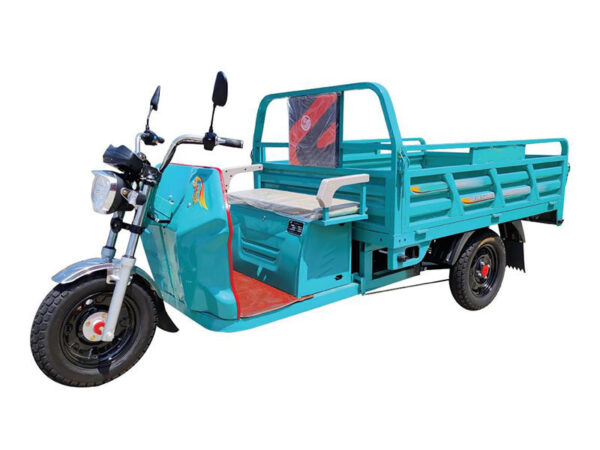 electric tricycle