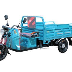 electric tricycle