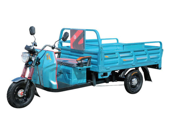 electric tricycle